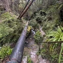 Ben Lomond Track - Queenstown