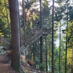 Ben Lomond Track - Queenstown