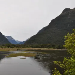 Milford Sound - Queenstown