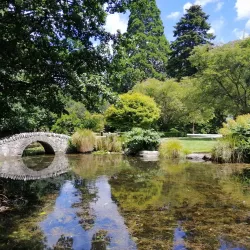 Queenstown Gardens - Queenstown