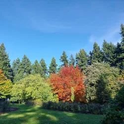 Queenstown Gardens - Queenstown