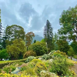 Queenstown Gardens - Queenstown