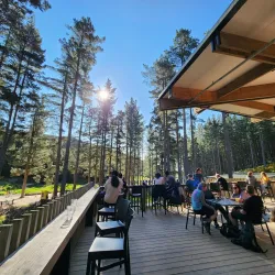 Christchurch Adventure Park - Rolleston