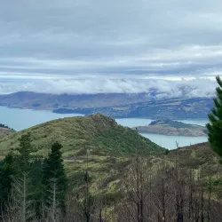 Christchurch Adventure Park - Rolleston