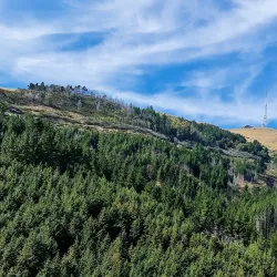 Christchurch Adventure Park - Rolleston