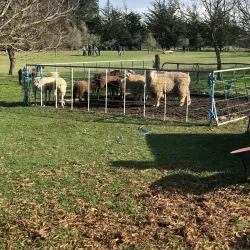 Lake Ellesmere / Te Waihora - Rolleston