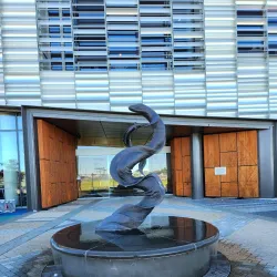 Te Ara Ātea - Rolleston