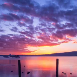 Lake Rotorua - Rotorua