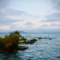 Lake Rotorua - Rotorua