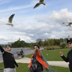 Lake Rotorua - Rotorua