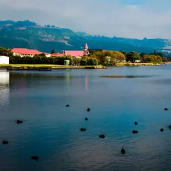Lake Rotorua - Rotorua