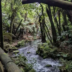 Mitai Maori Village - Rotorua