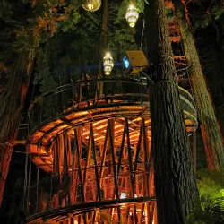 Redwoods Whakarewarewa Forest - Rotorua