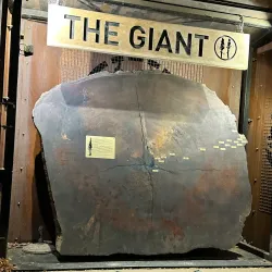 Redwoods Whakarewarewa Forest - Rotorua