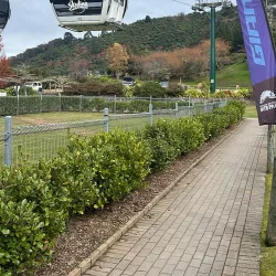 Skyline Rotorua - Rotorua