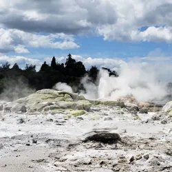 Te Puia - Rotorua