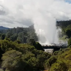 Te Puia - Rotorua