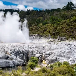 Te Puia - Rotorua