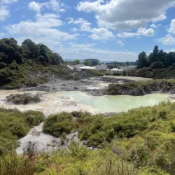 Te Puia - Rotorua