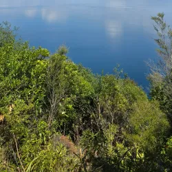 Great Lake Walkway - Taupo