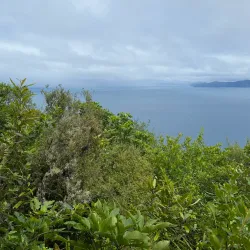 Great Lake Walkway - Taupo