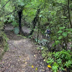 Great Lake Walkway - Taupo