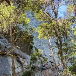 Great Lake Walkway - Taupo