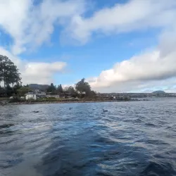 Mine Bay Maori Rock Carvings - Taupo