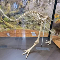 Taupo Museum and Art Gallery - Taupo