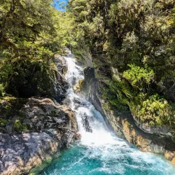 Fiordland National Park - Te Anau