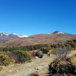 Kepler Track - Te Anau