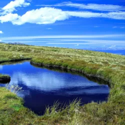 Kepler Track - Te Anau