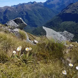 Kepler Track - Te Anau
