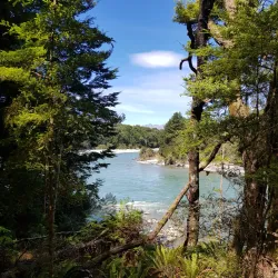 Kepler Track - Te Anau