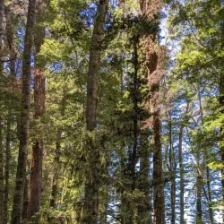 Kepler Track - Te Anau