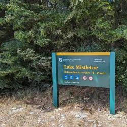 Lake Mistletoe Walk - Te Anau