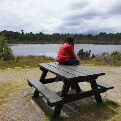 Lake Mistletoe Walk - Te Anau