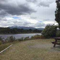 Lake Mistletoe Walk - Te Anau