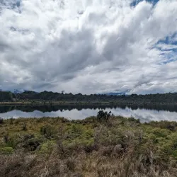 Lake Mistletoe Walk - Te Anau