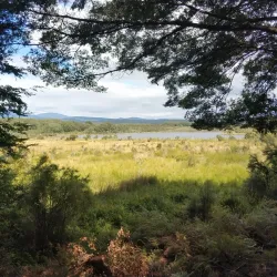 Lake Mistletoe Walk - Te Anau