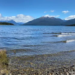 Lake Mistletoe Walk - Te Anau
