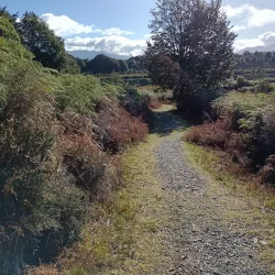 Lake Mistletoe Walk - Te Anau