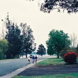 Lake Te Anau - Te Anau
