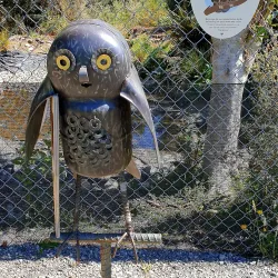 Te Anau Bird Sanctuary - Te Anau