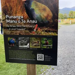 Te Anau Bird Sanctuary - Te Anau