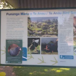 Te Anau Bird Sanctuary - Te Anau