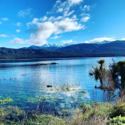 Te Anau Bird Sanctuary - Te Anau