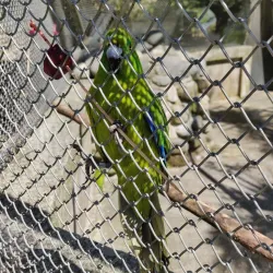 Te Anau Bird Sanctuary - Te Anau