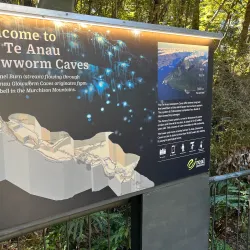 Te Anau Glowworm Caves - Te Anau