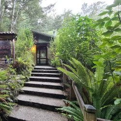 Te Anau Glowworm Caves - Te Anau